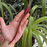 Chinese Retro Peach Wood Carved Hairpin