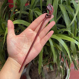 Chinese Retro Peach Wood Carved Hairpin