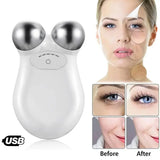 Microcurrent EMS Facial Massager Roller 2028