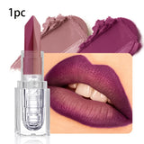 Black Waterproof Long-Lasting Lipstick 1PC