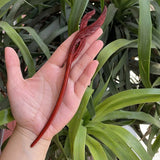 Chinese Retro Peach Wood Carved Hairpin