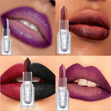 Black Waterproof Long-Lasting Lipstick 1PC